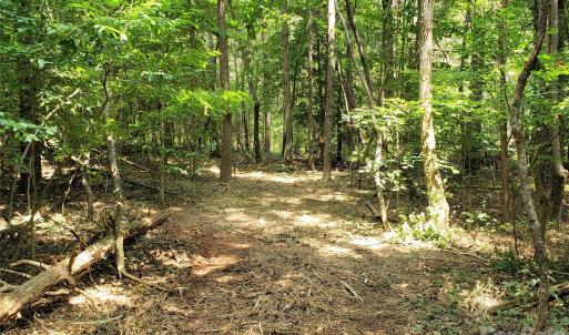 Photo #29 of 952 Oak, Rock Hill, SC