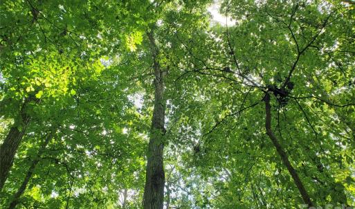 Photo #17 of 952 Oak, Rock Hill, SC