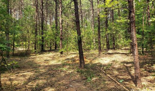 Photo #28 of 952 Oak, Rock Hill, SC