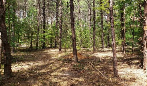 Photo #22 of 952 Oak, Rock Hill, SC