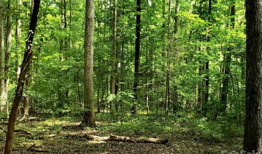 Photo #27 of 952 Oak, Rock Hill, SC