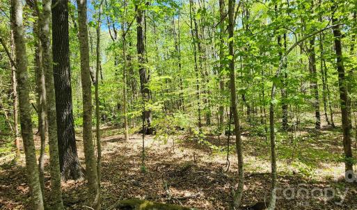 Photo #32 of 952 Oak, Rock Hill, SC