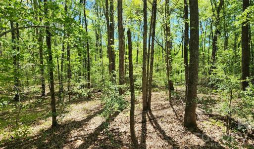 Photo #31 of 952 Oak, Rock Hill, SC