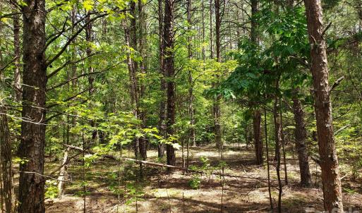 Photo #19 of 952 Oak, Rock Hill, SC