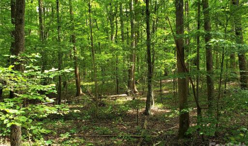 Photo #21 of 952 Oak, Rock Hill, SC