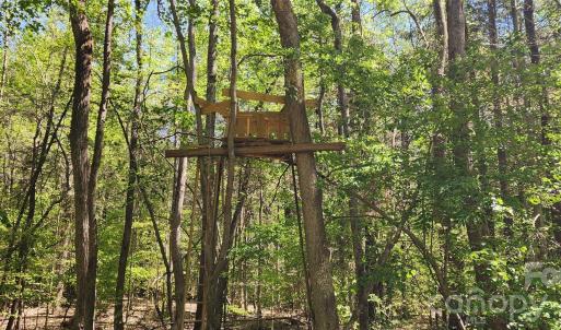 Photo #16 of 952 Oak, Rock Hill, SC