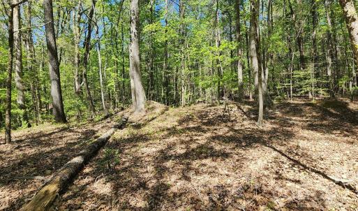 Photo #33 of 952 Oak, Rock Hill, SC