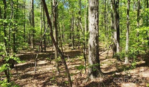 Photo #35 of 952 Oak, Rock Hill, SC