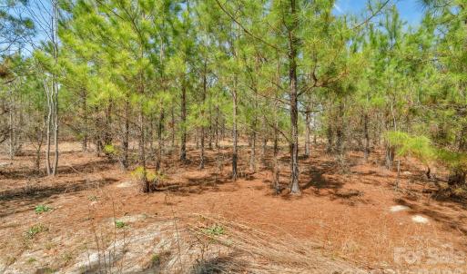 Photo #17 of 931 Charlie Johnson, Kershaw, SC