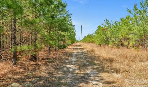 Photo #13 of 931 Charlie Johnson, Kershaw, SC