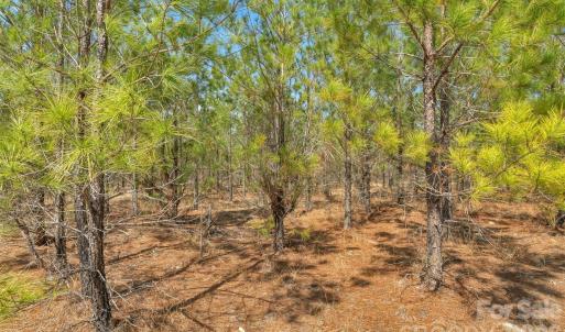 Photo #8 of 931 Charlie Johnson, Kershaw, SC