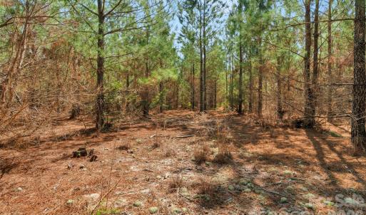 Photo #28 of 931 Charlie Johnson, Kershaw, SC