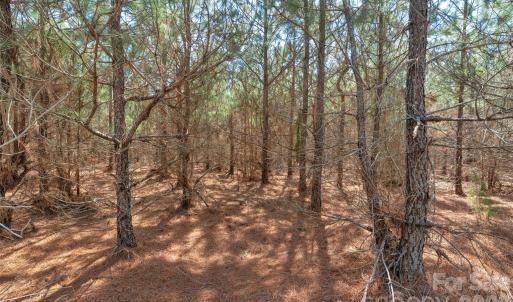 Photo #22 of 931 Charlie Johnson, Kershaw, SC