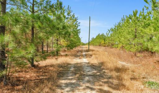 Photo #12 of 931 Charlie Johnson, Kershaw, SC