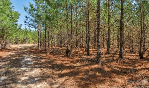 Photo #25 of 931 Charlie Johnson, Kershaw, SC