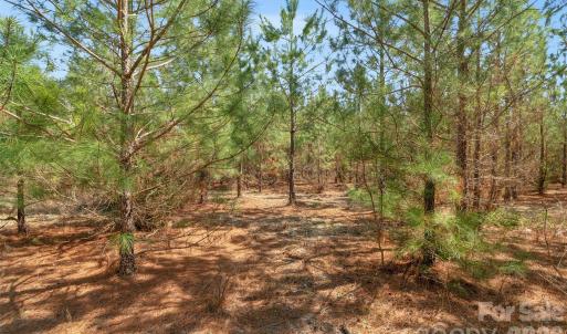 Photo #31 of 931 Charlie Johnson, Kershaw, SC