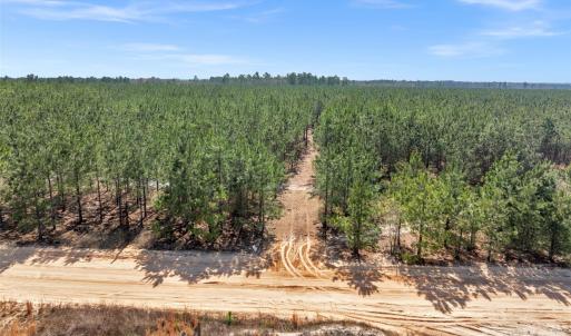 Photo #10 of 931 Charlie Johnson, Kershaw, SC