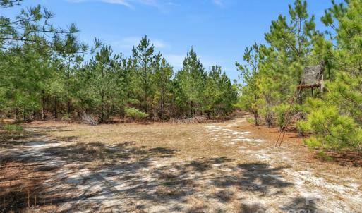 Photo #23 of 931 Charlie Johnson, Kershaw, SC