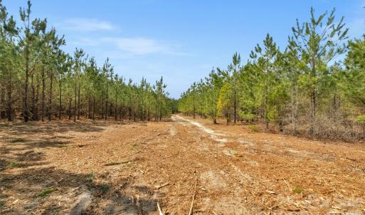 Photo #18 of 931 Charlie Johnson, Kershaw, SC