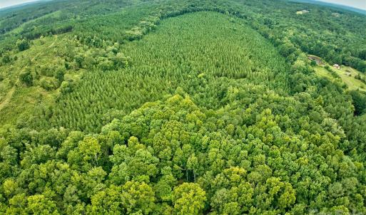 Photo #12 of 21 US Highway 21, Ridgeway, SC