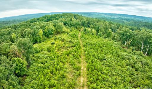 Photo #17 of 21 US Highway 21, Ridgeway, SC