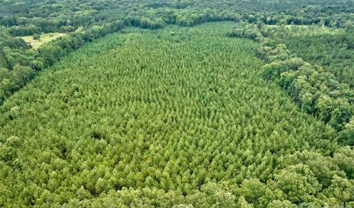 Photo #8 of 21 US Highway 21, Ridgeway, SC