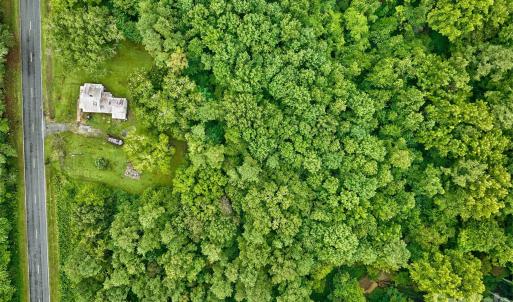 Photo #1 of 21 US Highway 21, Ridgeway, SC