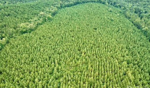 Photo #5 of 21 US Highway 21, Ridgeway, SC