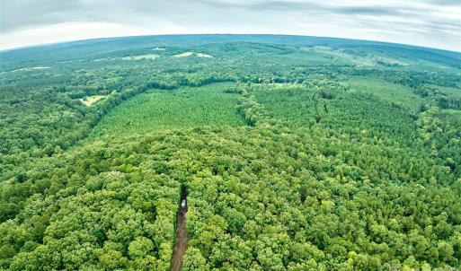 Photo #22 of 21 US Highway 21, Ridgeway, SC