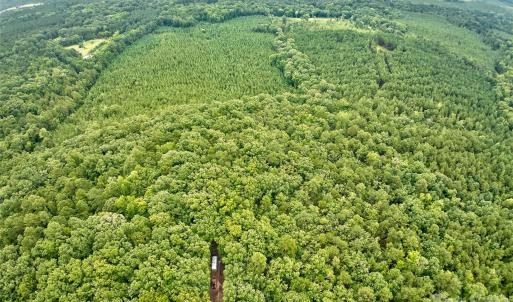 Photo #19 of 21 US Highway 21, Ridgeway, SC