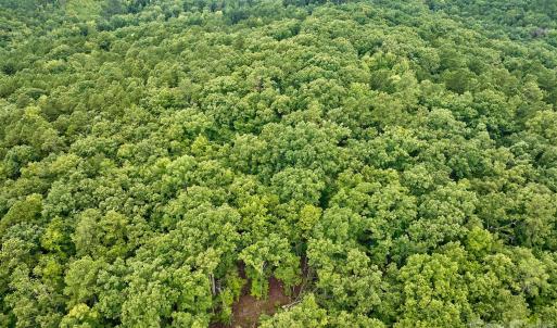 Photo #7 of 21 US Highway 21, Ridgeway, SC