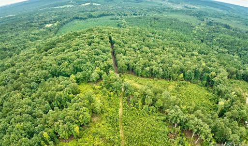 Photo #18 of 21 US Highway 21, Ridgeway, SC