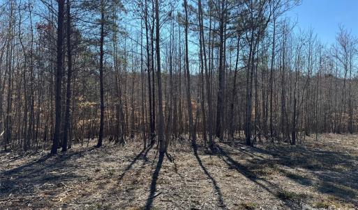 Photo #5 of 11490 King James, Davidson, NC