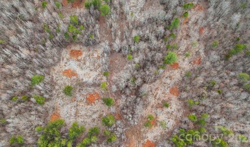 Photo #3 of 11550 King James, Davidson, NC