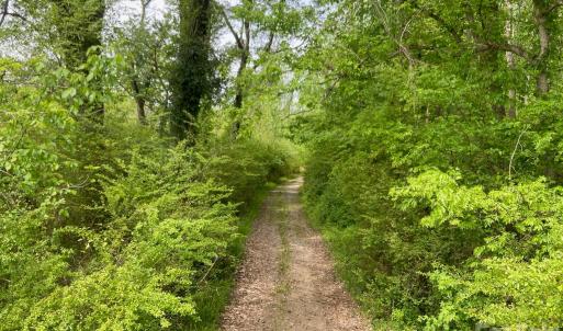 Photo #14 of 82.5 Acres Riverlane, Rock Hill, SC