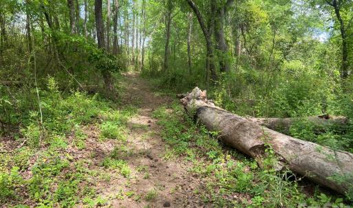 Photo #4 of 82.5 Acres Riverlane, Rock Hill, SC