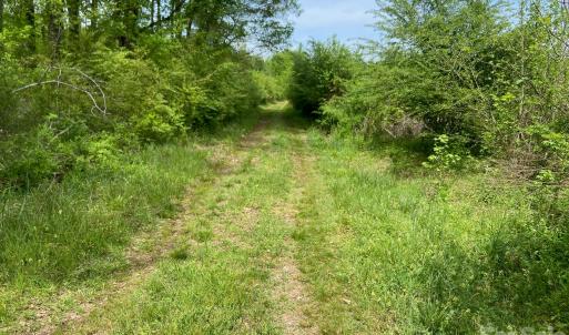 Photo #15 of 82.5 Acres Riverlane, Rock Hill, SC