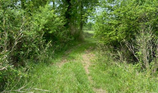 Photo #11 of 82.5 Acres Riverlane, Rock Hill, SC