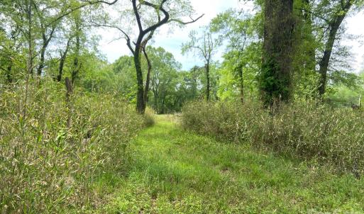 Photo #12 of 82.5 Acres Riverlane, Rock Hill, SC