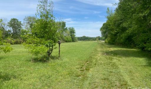 Photo #3 of 82.5 Acres Riverlane, Rock Hill, SC