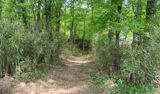 Photo #9 of 82.5 Acres Riverlane, Rock Hill, SC