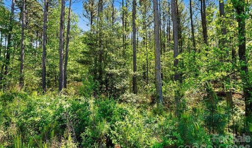 Photo #9 of 4337 Persimmon, Lancaster, SC