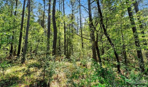 Photo #8 of 4337 Persimmon, Lancaster, SC