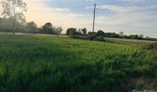 Photo #6 of Powell, Woodleaf, NC