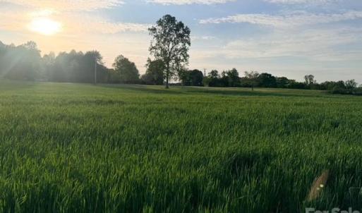 Photo #3 of Powell, Woodleaf, NC