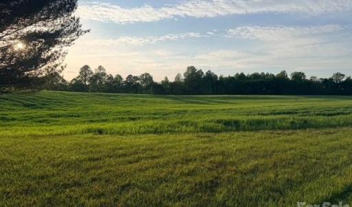 Photo #8 of Powell, Woodleaf, NC