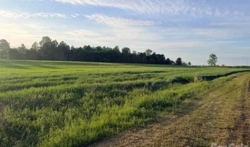 Photo #4 of Powell, Woodleaf, NC