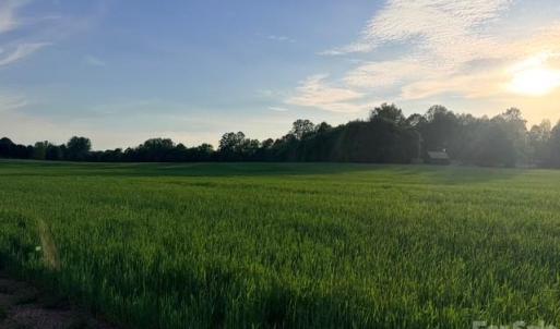 Photo #2 of Powell, Woodleaf, NC