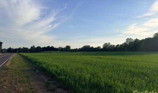 Photo #1 of Powell, Woodleaf, NC