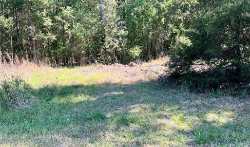 Photo #4 of White Store, Polkton, NC